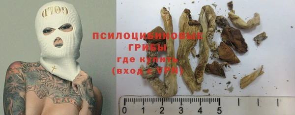 тгк Михайловск