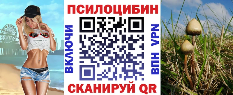 наркошоп  Алатырь  Галлюциногенные грибы прущие грибы 